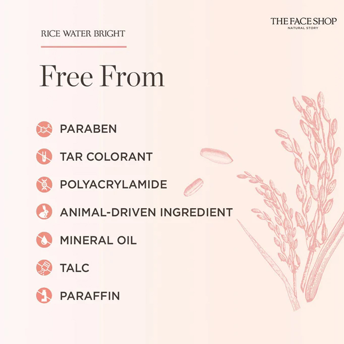THE FACE SHOP RICE WATER BRIGH - Luxury Skincare Shop のレビューと価格